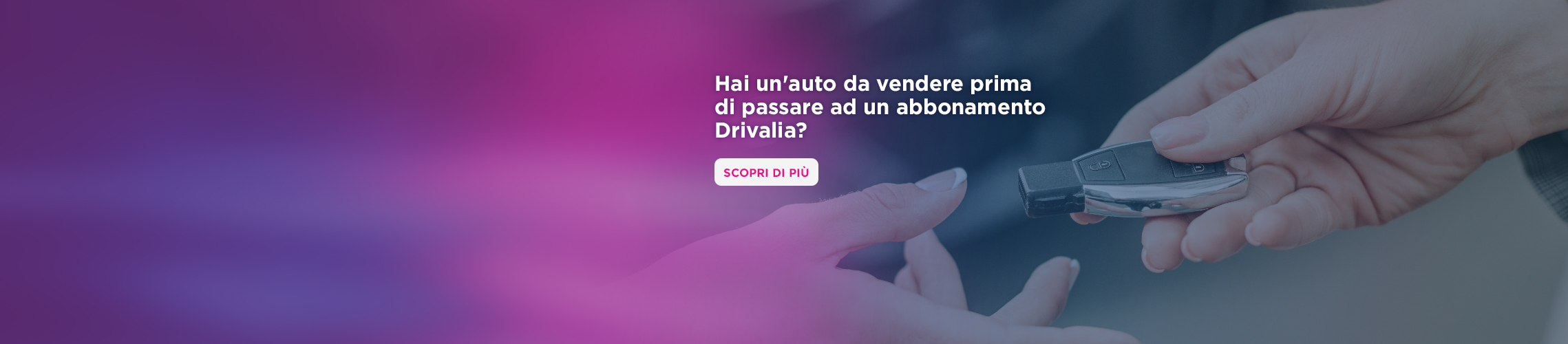 AUTO HERO